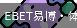 EBET易博